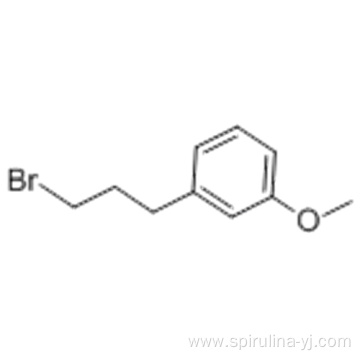 1-(3-BroMopropyl)-3-Methoxybenzene CAS 6943-97-1